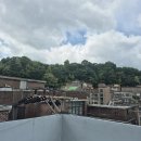 중앙동206 이미지