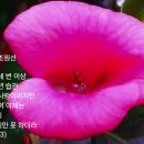 뽀뽀로야 이미지