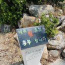 [서오릉] &#39;청춘면가&#39; 초계국수 먹으러 다녀온 후기 주차 초계국수 맛집