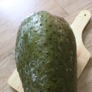 최성훈농장 이미지