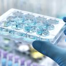 (주)히어코리아 이미지