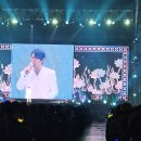 현역가왕 2대구 공연보고 갑니다 이미지