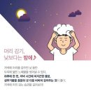 비채미 이미지