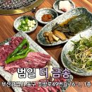 범일동 맛집 부산 소고기 맛집 더금송