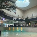 샴푸관광나이트크럽 | 부산 해운대 클럽디 오아시스 - 스파 &amp; 찜질 &amp; 워터파크 준비물, 할인 이용후기