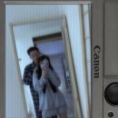 새몽