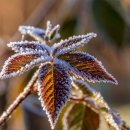 겨울이야기 이미지