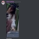 섬뜰마루 | 4월 = 일본 빼면 K.B.S (개.백.수)