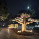 양평 용한점집 지광신당갤러리, 사주 부적 살풀이로 꼬인 인생 풀어낸 솔직 후기 이미지