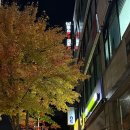 장당길 | 평택 장당동 [시그널휘트니스 장당점] 평택고덕 인근 PT 추천