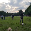 미미하우스 이미지