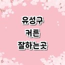 유성대로 877번길 | 대전 유성구 커튼 블라인드 추천 잘하는곳 | 인테리어 가격 레이스커튼 자동커튼 암막블라인드