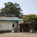 대머리장어 - 4176 | 대머리장어