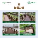 조광목재
