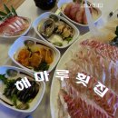 서천 홍원항 해마루 횟집 솔직후기