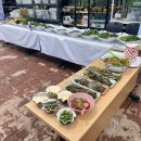 한스메디팜 이미지