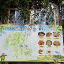 계룡산묵사랑 이미지