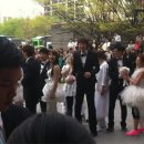 수정수지 이미지