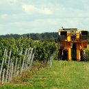 모두의식탁 이미지