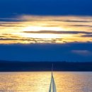 푸르른삶의노래 이미지