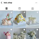 케익크(keic)