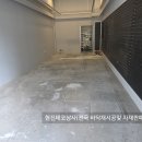 동탄대로시범길 이미지