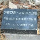 성산519 이미지