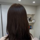 비비드 수헤어 | 대구 만촌동 수성구 중단발 레이어드펌 추천 💇‍♀️ 비비드헤어만촌점 후기