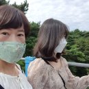 채원과 여주 여행(소금산 출렁다리~) 이미지