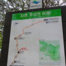 합천 매화산 남산 제일봉 산행후기 이미지