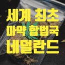 마약천국 네덜란드 이미지