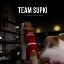 우리 강아지 산책룩으로 입혀본 강아지옷추천 슙키(SUPKI) 리얼 후기!
