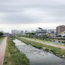 먹거리 천국, 경산 하양꿈바우 시장 풍경