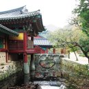 송광사 이미지