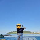 함덕해수욕장 빽다방, 이자카야 고등어봉초밥 상상, 소품샵 가지가지상점, 코인노래방 후기