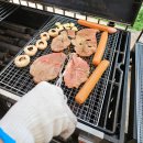 노스토스 이미지