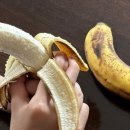 그날과일 이미지