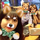 미순카페 이미지
