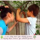대교초교(병설) 이미지