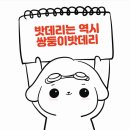 쌍둥이밧데리울산점 이미지