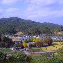 금사초등학교 이미지