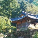 소나무쉼터 민박 이미지