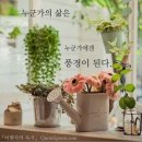 힐링 음악치유 이미지