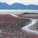 용산1농로 이미지