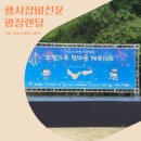 디자인이든 이미지