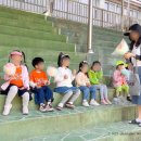 신림초등학교 이미지