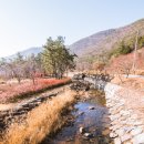 도실목장 | 남해 오토캠핑장 힐링하기 좋았던 놀부펜션 캠핑장