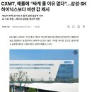창신(CXMT) : 애플에게 "싸게 줄 이유 없다" 삼성.하닉 보다 더 비싼 값 제시 이미지