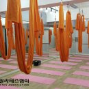 웰빙필라테스요가