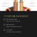엔에이씨 | NAC 복용 2달, 기관지염 증상이 완전히 사라진 리얼 후기